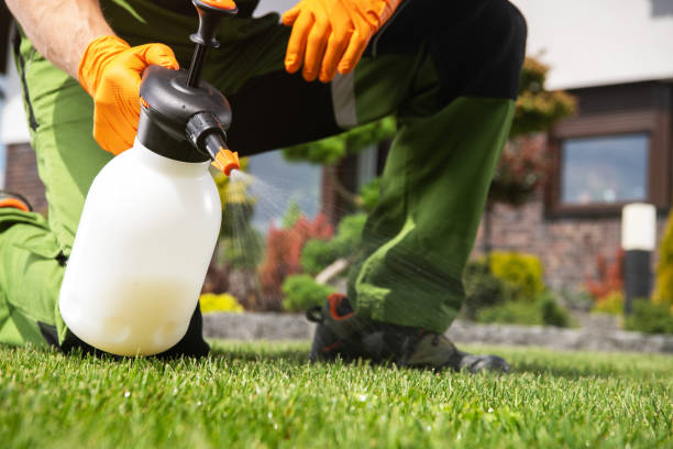 Professional Pest Control in Ocean Shores, WA